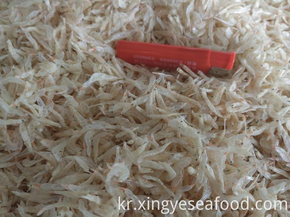 Dried Small Shrimp